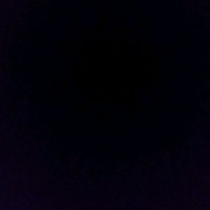 Meet your Posher, Travis